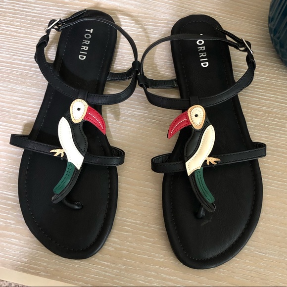 torrid Shoes - Torrid Toucan Sandals